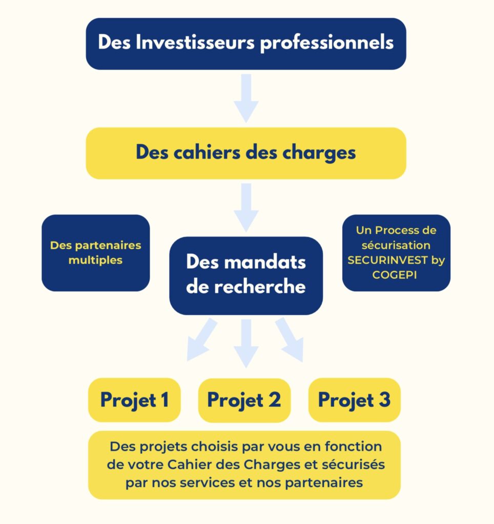 Schéma pour des investisseurs professionnels